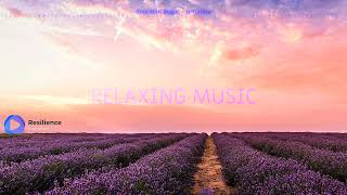 Enjoy Relaxing Music Anytime, Anywhere - Find Peace with Relaxing Music