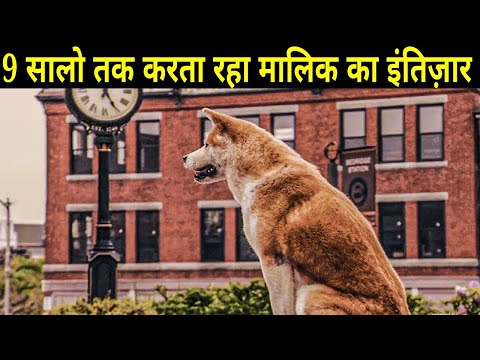 9 सालो तक करता रहा अपने मालिक का इंतिजार. | Story of Hachiko the dog who taught us how to Love.