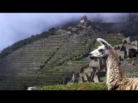 Andina Incan Music from Ecuador #hitsongs #youtube #music #traditionalmusic
