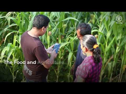 FAO’s Food and Agriculture Microdata Catalogue