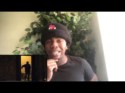 LD - Rich Porter | Reaction