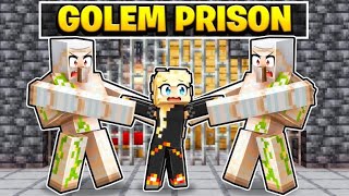 Stuck in An Iron Golem Prison