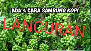 Download lagu Cara stek sambung kopi lancuran mp3