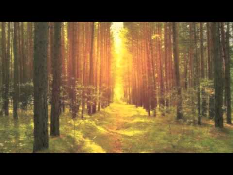 Awareness & Wisdom - Joseph Goldstein