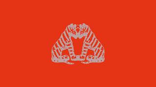 Oh Wonder - Little Tigers (Visualiser)