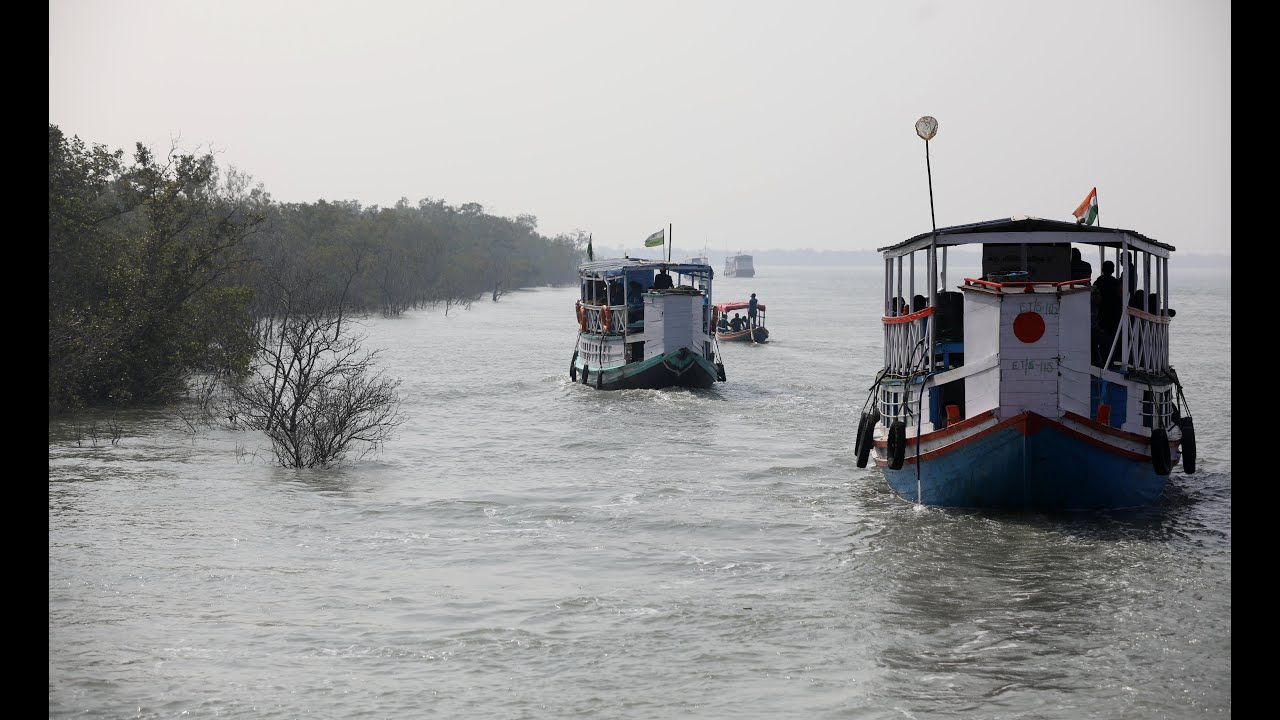 Vlog - Sundarban trip
