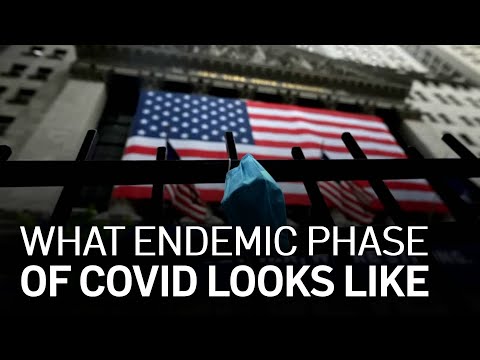 What the Early Endemic Phase of COVID-19 Looks Like