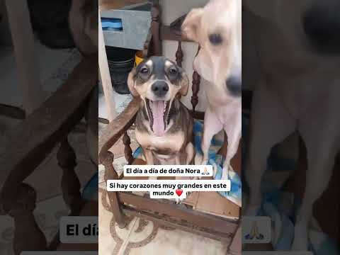 4 de noviembre de 2025