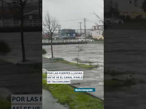 #shorts 🌧️ Canal Ifarle en Talcahauno al maximo de su capacidad