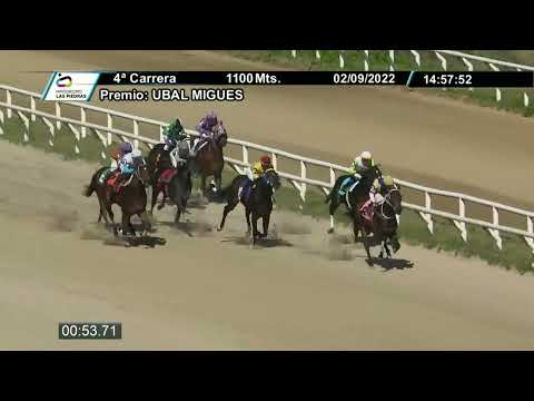 220902 c04 - ALERTA AMARILLA - HIPODROMO LAS PIEDRAS