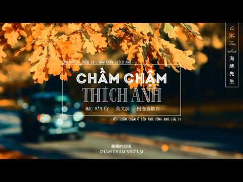 【Vietsub】Chầm Chậm Thích Anh - Mạc Văn Úy | 慢慢喜欢你 - 莫文蔚