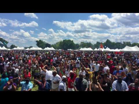 Mike Risk live at Chosen Few Picnic 2017 in Chicago