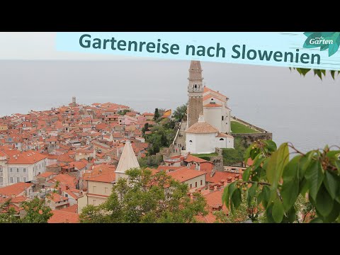 , title : 'Gartenreise durch Slowenien: Tolle Gärten in einem unterschätzten Land | MDR Garten'