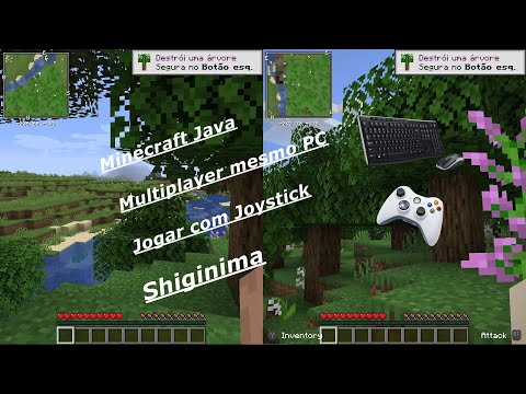 Rdigoplay - Minecraft Multiplayer Split screen | Tela dividida no PC JAVA com Joystick
