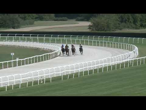 2017.08.27. 3. futam - NYERETLEN KÉTÉVESEK VERSENYE (IV.kat.) (szintetikus pálya)