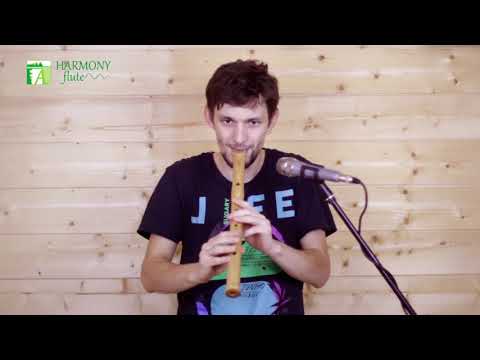 Shakuhachi - buy harmonyflute.com