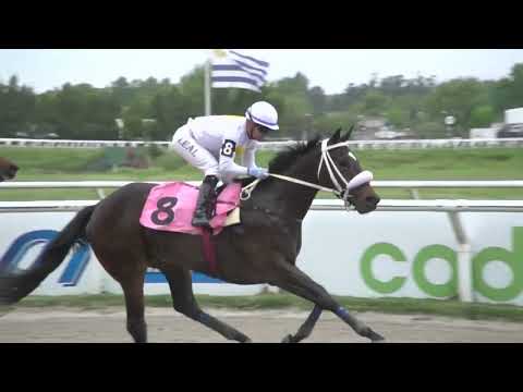 231102 c04 - SERENA FEVER - HIPODROMO LAS PIEDRAS
