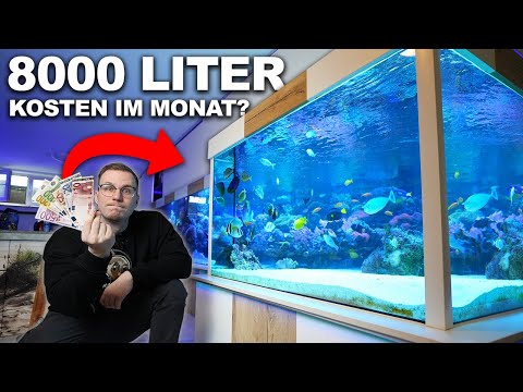 *LOW BUDGET* 8,000 liter saltwater aquarium - What are the monthly costs?