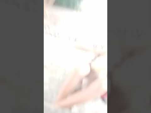 Orang Gila Lewat Rumah Gw