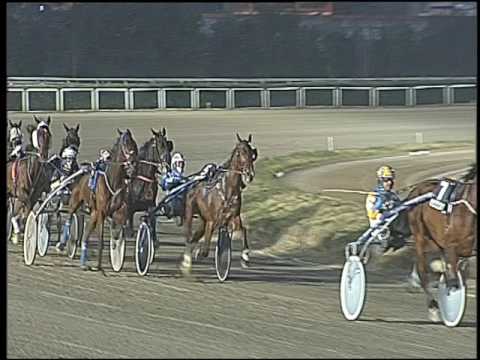 Trotto 27/01/2017 - 5ª corsa