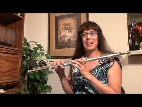 Powell Custom Handmade, All Silver Offset G, C# Trill Key, Split E Mechanism, Warranty!