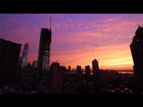 NYC turns Purple