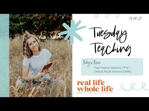 TPN + DMN Networks - ADHD - Tuesday Teaching