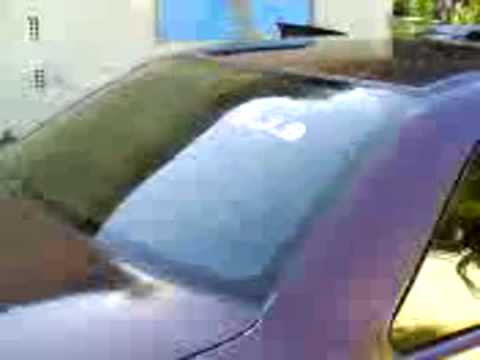 logus boladao fazendo a ficha dançar