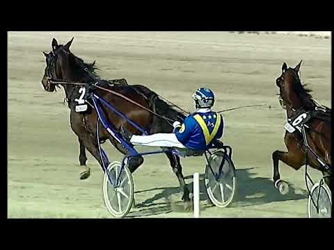 Napoli Trotto 04/03/2022 - 5ª corsa