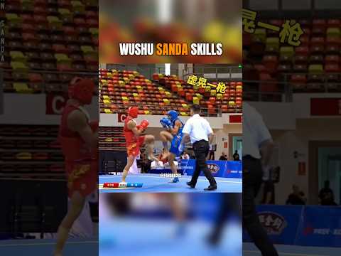 Wushu sanda skills #wushusanda #sanda #kickboxing #muaythai