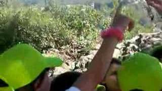 Download lagu cimal mp3 Download lagu cimal mp3