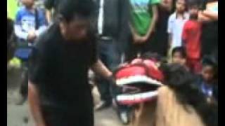 preview picture of video 'Lingkung Seni Reak Juarta Putra'