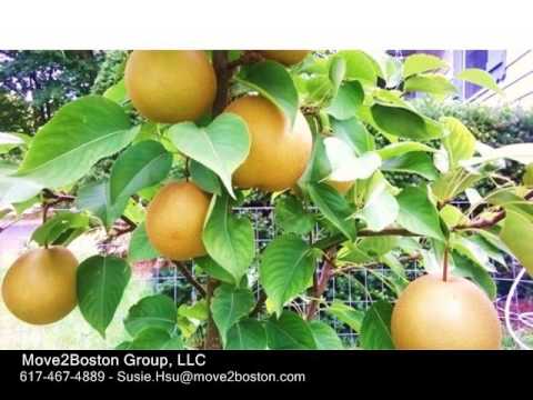 497 Greendale Ave, Needham MA 02492 - Single Family Home - Real Estate - For Sale -