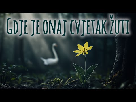 🌼 Gdje je onaj cvjetak žuti 🍂 Lirska pjesma 🍁 Sa tekstom