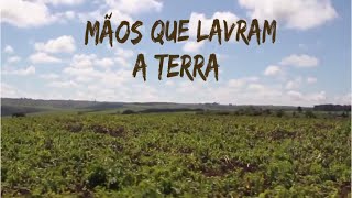 Miniatura do vídeo