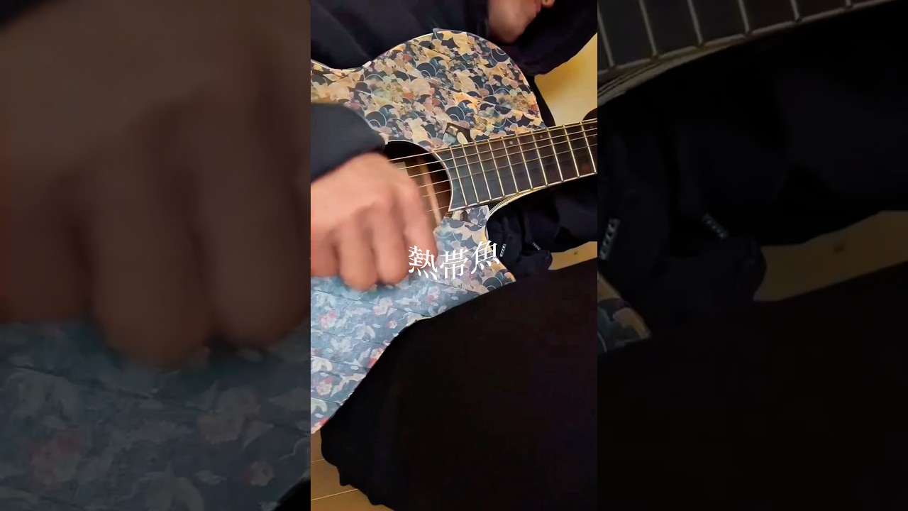 浅ましい前頭葉を照らしておくれ。#サカキナオ #熱帯魚 #弾き語り #.シンガーソングライター #オリジナル曲