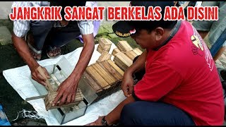Download lagu Tak Disangka Pedagang Ini Membawa Hewan Istimewa Dengan Wadah Yang Kreatif Hasil Karyanya mp3