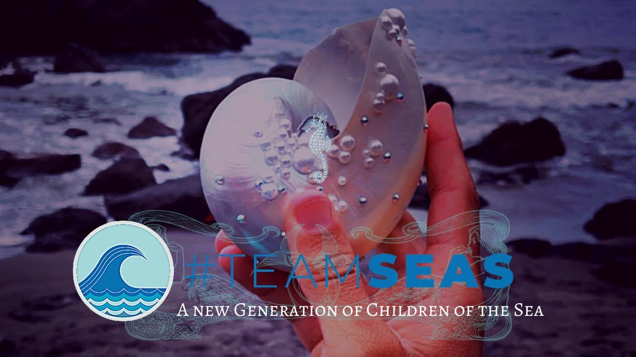 Promotional video thumbnail 3 for The Seafaring Mermaid Entertainment