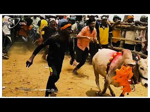 mundgod don all videos ............