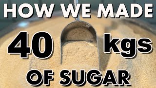 This Is How We Make Our Own SUGAR!