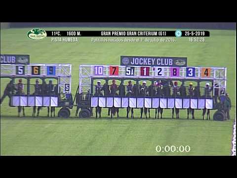 GRAN PREMIO GRAN CRITERIUM G1 2019 - IVAR (BRZ)