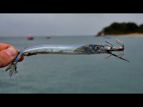 First time using this BAIT! - SQUID FISHING