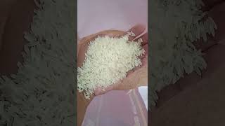 Download lagu MISS SAKSORN NUANLAONG ·THE POSITION OF THE NEW JUDGE OF THE INTERNATIONAL COURT OF JUSTICE mp3