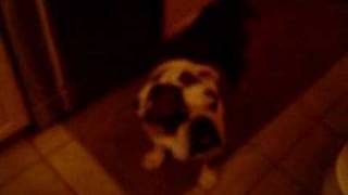 Malcolm's Food Dance