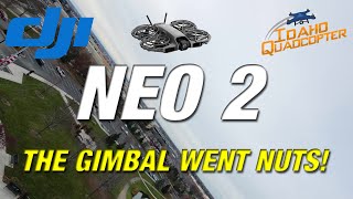 DJI Neo 2 - Some weird gimbal camera anomalies on this flight!