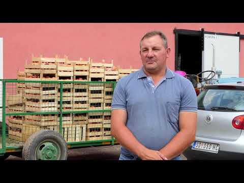 Biram selo 08.07.2020. Voćarstvo, Aleksandar Kojić, Lunjevac