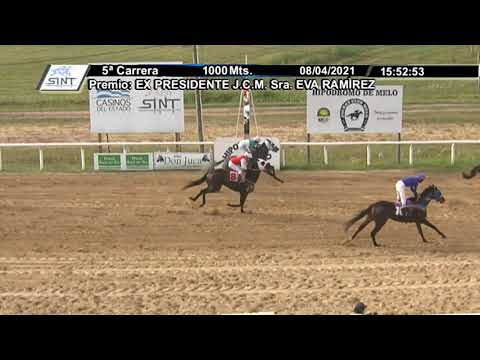 210408 c05 - 1° GRAN MERLOT - CARRERAS SINT MELO -