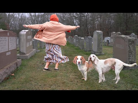 Dogs Find Out True Identity of Serbian Dancing Lady!