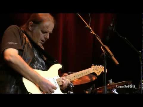 Walter Trout - Blues for my Baby (2012)