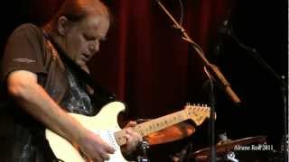 Walter Trout - Blues for my Baby (2012)